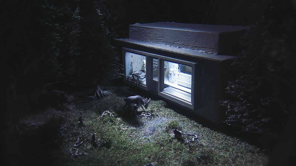 Icko Dávid: There is Hopper in the wood