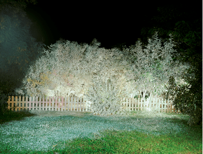 Ősz Gábor: Nagyítás A. kép, 2010