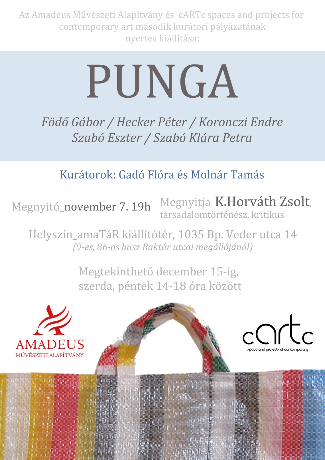 Punga_flyer