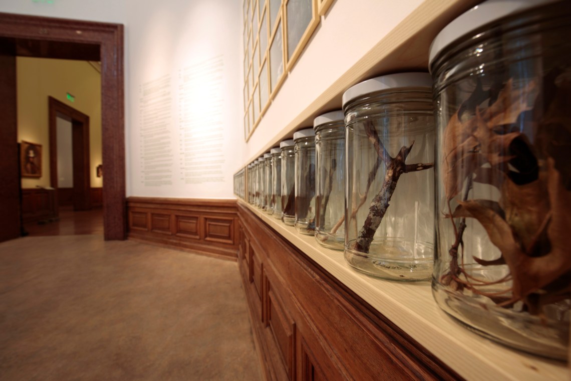 Alan Sonfist: New York City fáinak génbankja, 1974 (részlet), kép forrása: Szépművészeti Múzeum