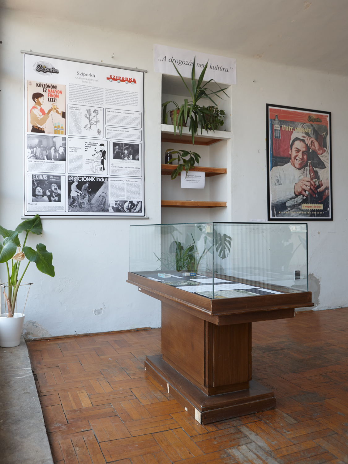 Brückner János – Miloš Toth: Sziporka, [2015]