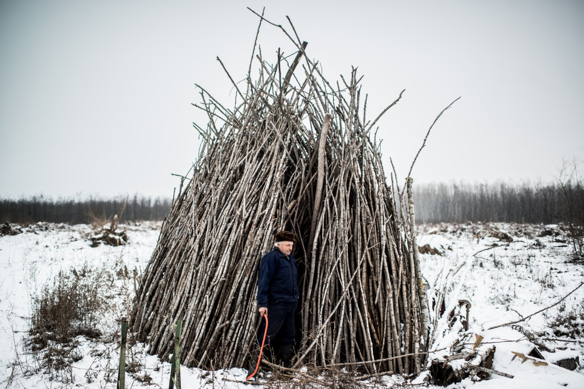 Stiller Ákos: Tanyavilág [Nagykőrös mellett], 2012