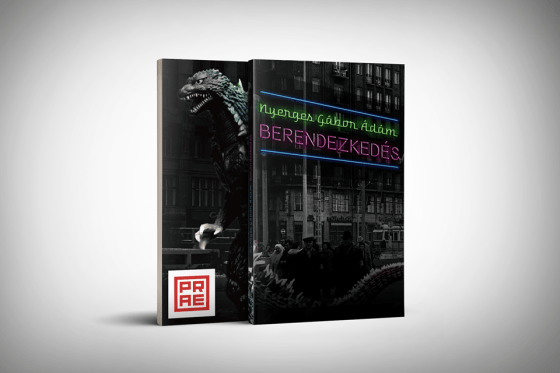 Nyerges Gábor Ádám: Berendezkedés