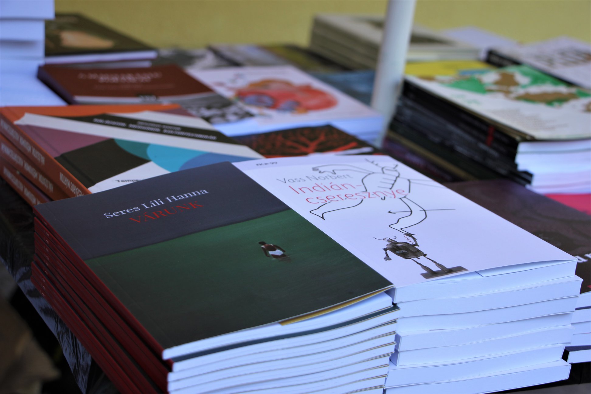 Új könyvek a FISZ-től